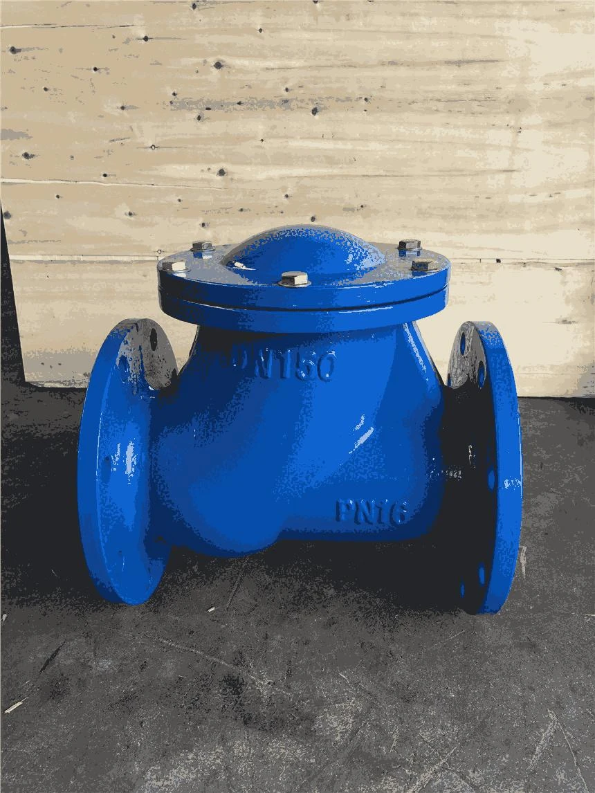 &lt;trp-post-container data-trp-post-id=&#039;21015&#039;&gt;2.5 Inch Check Valve   Durable, High-Pressure Flow Control&lt;/trp-post-container&gt;