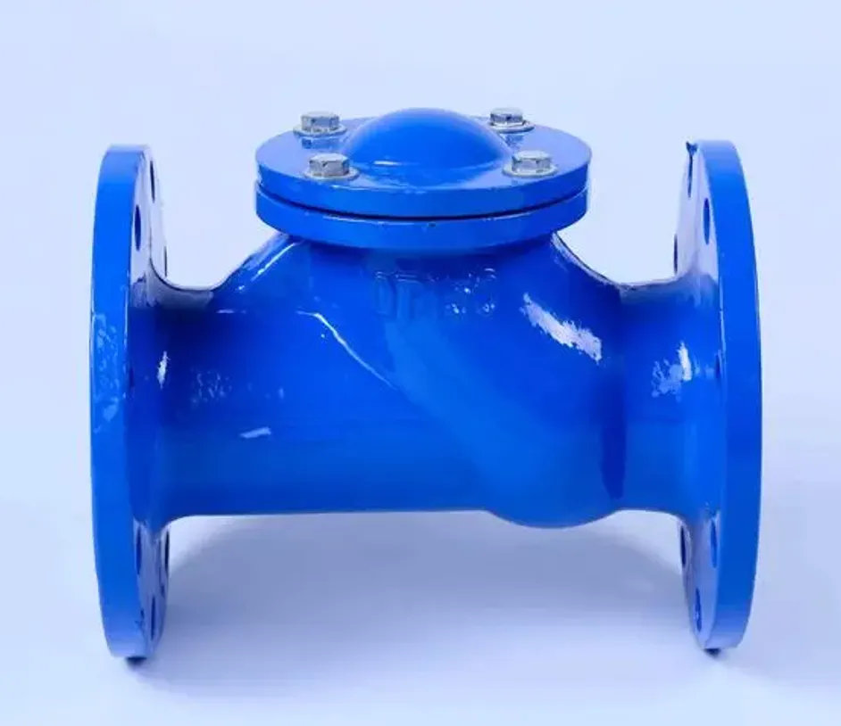 Cast Iron Y Strainer: Durable Solutions for Demanding Applications