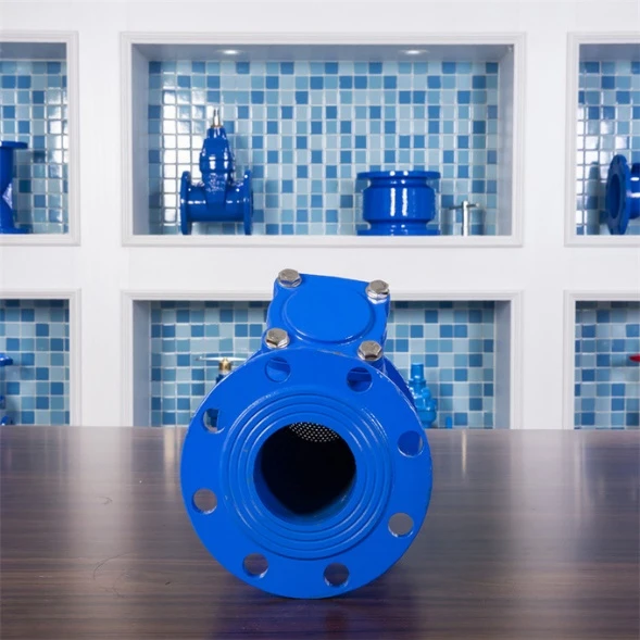 Y Type Strainers: A Comprehensive Guide